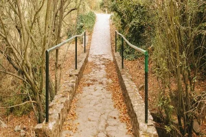 Ilustración de una servidumbre de paso entre fincas, representando el derecho de paso sobre propiedad ajena