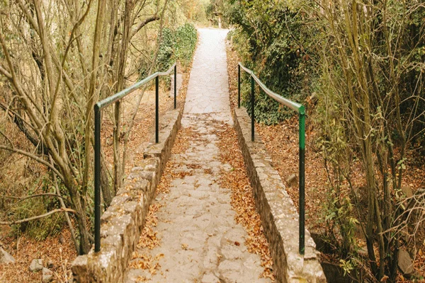 Ilustración de una servidumbre de paso entre fincas, representando el derecho de paso sobre propiedad ajena